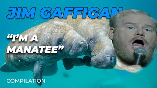 quotIm a Manateequot  Jim Gaffigan Stand up Compilation [upl. by Alake]