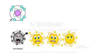 Mechanisms of Cell Injury [upl. by Hussar]