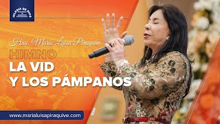 Himno La Vid y los Pámpanos Hna María Luisa Piraquive IDMJI [upl. by Berkman]