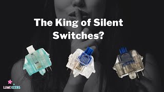 Durock Silent Switches Review  Dolphin Shrimp Daybreak Silent Switches [upl. by Frick]