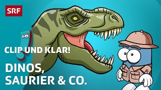 Was du über Dinosaurier wissen musst 🦖  SRF Kids – Clip und klar  Für Kinder erklärt [upl. by Hares767]