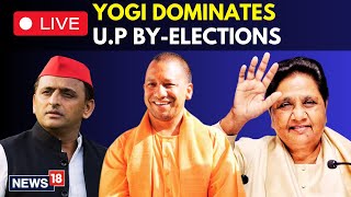 UP Bypoll Election Results Live  BJP Leading In 6 Of Uttar Pradeshs 9 Seats Akhileshs SP Wins 1 [upl. by Ahtnama]