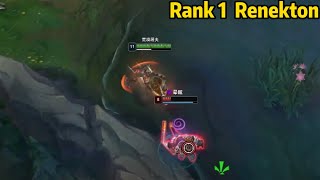 Rank 1 Renekton This Renekton is SO STRONG 20 KILLS [upl. by Niveg]