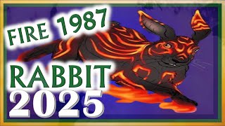 Rabbit Horoscope 2025 ➤ Fire Rabbit 1987  January 29 1987 to February 16 1988 [upl. by Hester571]