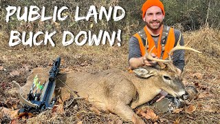 Archery Deer Drives  Driver Shoots 8 POINT BUCK [upl. by Downall]