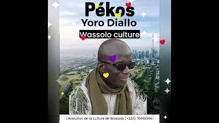 Yoro Diallo et Pékos soumou [upl. by Airtemak802]