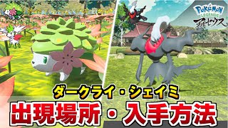 【ポケモン アルセウス】ダークライ・シェイミの入手方法 剣盾BDSP連動特典伝説のポケモン【ポケモン Pokémon LEGENDS アルセウス】 [upl. by Sueddaht]