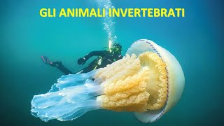 GLI ANIMALI INVERTEBRATI [upl. by Steffie]