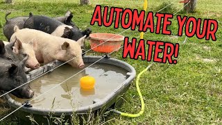 Jobe Megaflow Valves JMFV20DLT 82026 Megaflow Valve 34quot Review  Automate your Livestock water [upl. by Coshow]