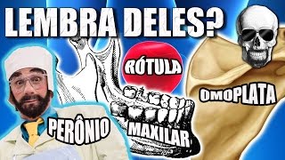 Vídeo Aula 143  Anatomia Humana  Osteologia  Nomenclatura Anatômica Antiga e Atual dos Ossos [upl. by Bergwall]