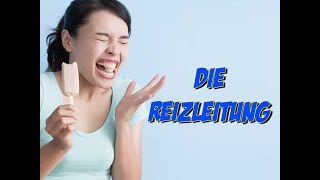 Die Reizleitung [upl. by Argent]