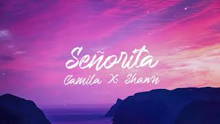 Shawn Mendes Camila Cabello  Señorita Lyric Video [upl. by Noby]