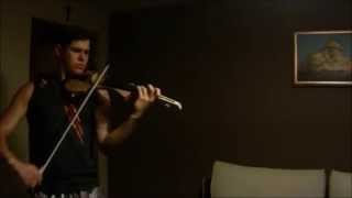 Apocalyptica  Farewell Violin Cover [upl. by Kelton224]