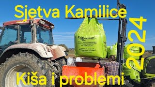 OPGPuzjak Priprema i Sjetva kamilice sezona 2024 Sowing chamomile in a modern way [upl. by Bar579]