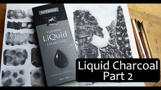 DEMO  painting with Nitram Liquid charcoal [upl. by Nerha]