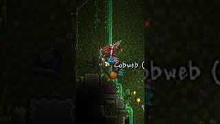 Terraria multiplayer mistake shorts terrariamastermode gaming minecraftjokes minecraft [upl. by Labinnah]