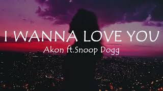 I wanna love you  Akon ft Snoop Dogg Lyrics I see you winding and grinding up on the floor [upl. by Haissi]