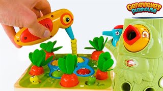 Best Toy Learning Video for Toddlers and Kids  Learn Colors and Counting in the Garden [upl. by Elfstan]