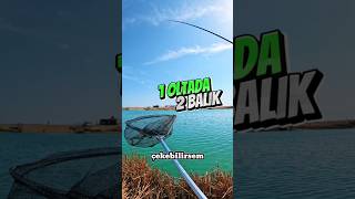 kefal kefalavı kefalonia balık olta oltabalıkçılığı ekmek kolay hobi keyif fishing fish [upl. by Nnaj595]