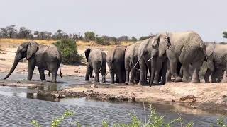 Weekend out at Khutse Game Reserve Botswana [upl. by Jeanine]