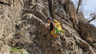 Harsh mountain Malihas bravery in the heights in search of her missing husband2024 [upl. by Moclam]