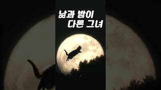 낮과 밤이 다른 그녀 OST  떳다 그녀 원곡 [upl. by Ahsema963]