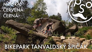 BIKEPARK TANVALDSKÝ ŠPIČÁK 2020  Nejlepší flow traily nejen pro začátečníky [upl. by Neelyhtak14]