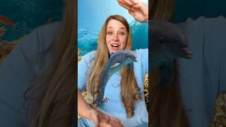 Ocean Animals 🐬 Opposites Song kidssongs kidslearning [upl. by Aicirtel753]