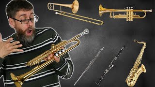 Beginner School Band Instruments Overview  Which One Should I Play [upl. by Miehar34]