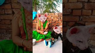 Lalla Lalla Lori doodh ki Katori Lalla Kare Tamasha funny cute viral short video🐱🐱🐱🐱🍚🍚🍚🍚👈👈👈😛😛😛😛👌👌👌👌😛 [upl. by Jany]