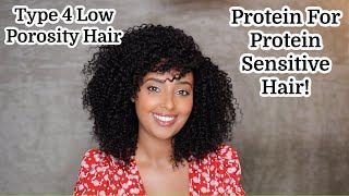 You Still Need Protein for Protein Sensitive Low Porosity Natural Hair 💜 Detailed Protein Video [upl. by Llednav131]