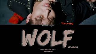 WooSung 김우성  WOLF Colour Coded Lyrics HanRomEng [upl. by Ayatan96]