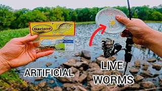 LIVE BAIT VS ARTIFICIAL BAIT Challenge [upl. by Mil]