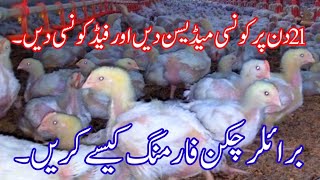 broiler chicken farming in PakistanDay 21 [upl. by Amitarp]