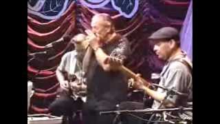 Charlie Musselwhite  Harmonica solo  Blues in A LIVE [upl. by Eirallih]