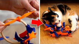 Easy To Make DIY Cat Toys Your Pet Will Love [upl. by Sexton]