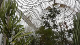 PALM HOUSE at Botanic Gardens Belfast [upl. by Iden]