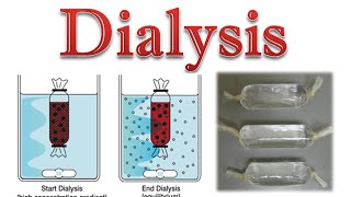 Protein purification  protein dialysis [upl. by Araik]