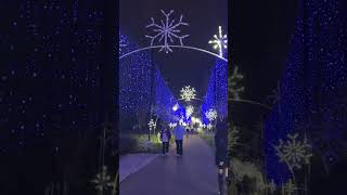 Winterfest riverwalk Pigeon Forge lightings [upl. by Card]