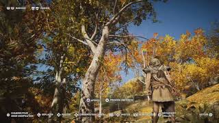 Assassins Creed Odyssey  Humains et ours figés [upl. by Jameson901]