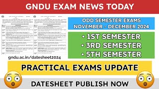 Gndu Exam News Today 😱 Practical Exams  Datesheet Publish  1st  3rd  5th Sem Gndu Latest Update [upl. by Maighdiln]