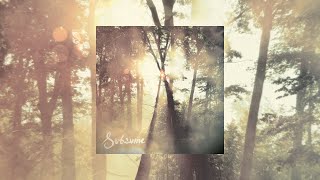 Cloudkicker  Subsume Full Album  AmbientInstrumental Metal [upl. by Dacey]