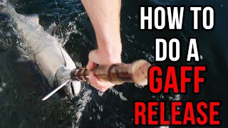 How to Do A Gaff Release AND Why [upl. by Hampton]