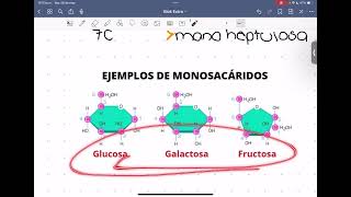 CLASE 2 Carbohidratos y glucólisis pt1 Bloque 2 [upl. by Jaymee293]