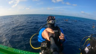 Dive In Tubbataha Reef Philippines [upl. by Nohsal]