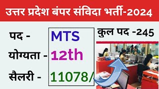 MTS पद के लिए नई संविदा भर्ती 2024  up new samvida bharti 2024 [upl. by Asir]