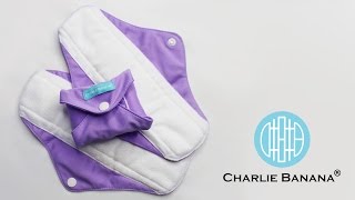 Charlie Banana Cloth Pads Super  Review [upl. by Esirahc691]