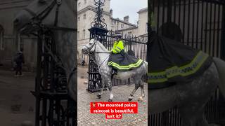 The mounted police raincoat is beautiful isnt it [upl. by Valma691]