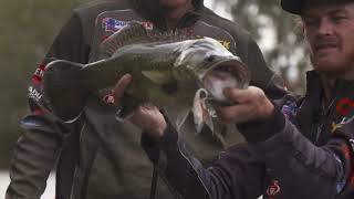 How to catch Murray Cod on paddle tail soft plastics [upl. by Annoek915]