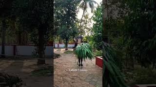 രാമചന്ദ്രൻ new animals trendingshorts viralshorts newreels kerala aana bgm thrissur pooram [upl. by Campagna]